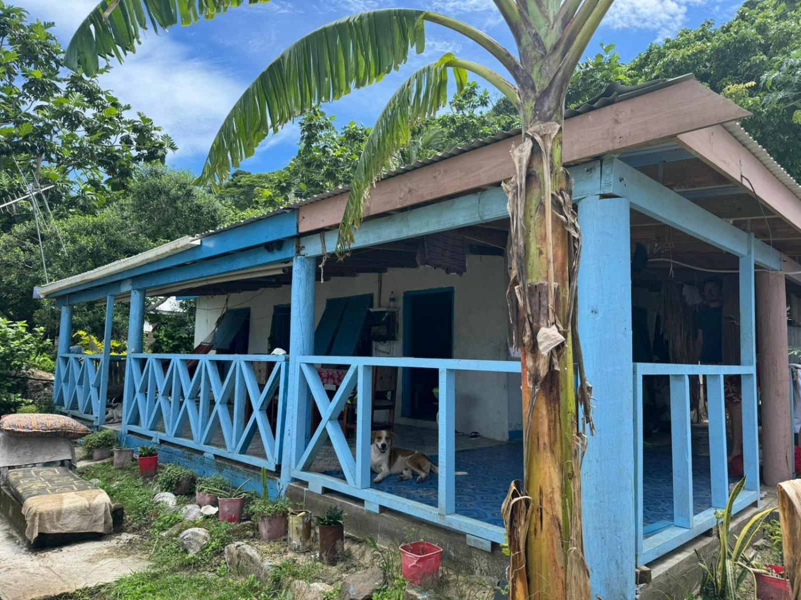 Lusis Homestay لوتوكا المظهر الخارجي الصورة